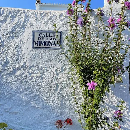 Casa Mimosas * Nerja